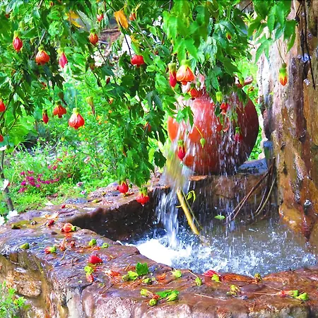 Birds Hotel Molino