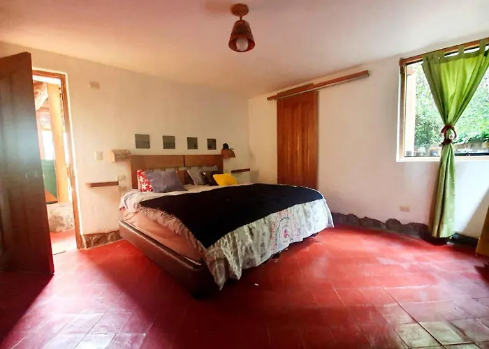 Hotel Birds Molino