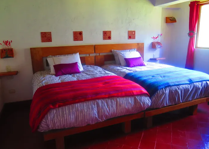 Birds Molino 3*