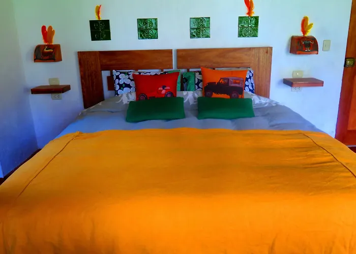 Birds Molino 3*