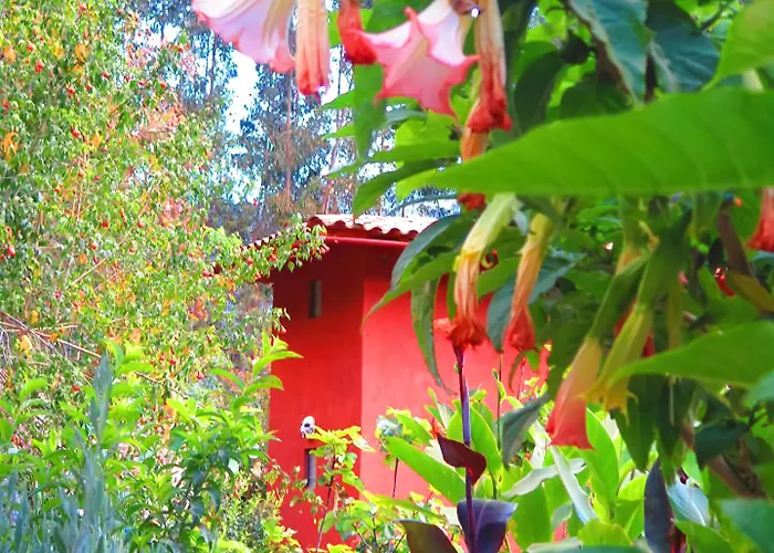 Hotel Birds Molino Ollantaytambo
