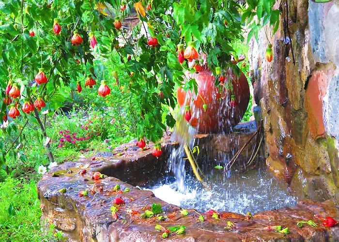 Birds Molino Hotel
