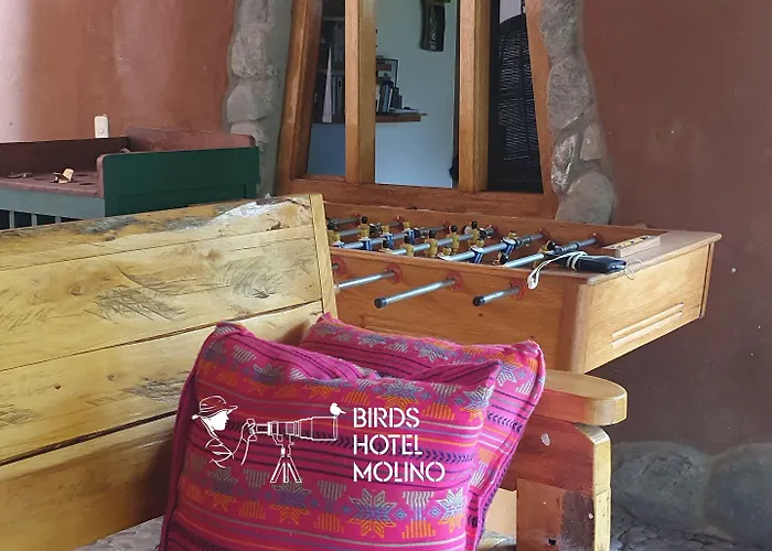 ホテル Birds Molino